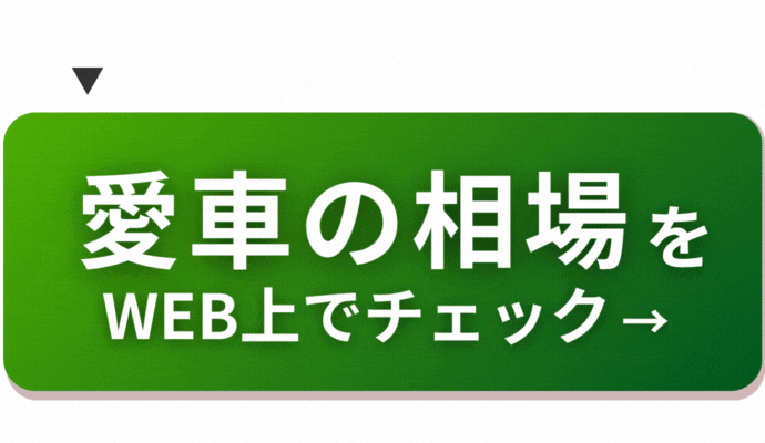 Ԃ̑`FbN