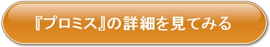 プロミスのリンクボタン